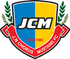 哈曼FC