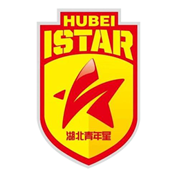 广西恒宸